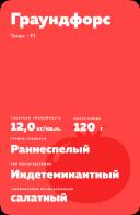 Граундфорс F1 (GROUNFORCE)