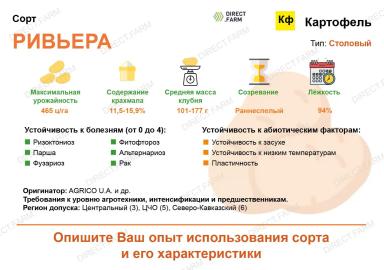 Ривьера (RIVIERA) картофель