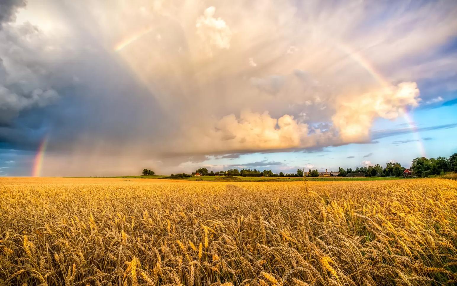 Приметы августа 🌈🌻🍂