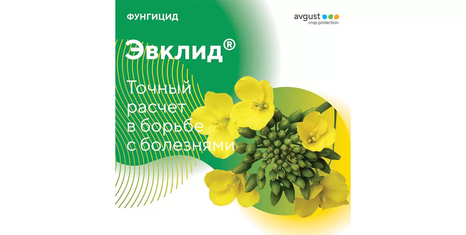 Эвклид® – новый фунгицид для защиты рапса и других культур