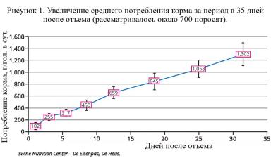 Успешный отъем поросят зависит от 3 условий