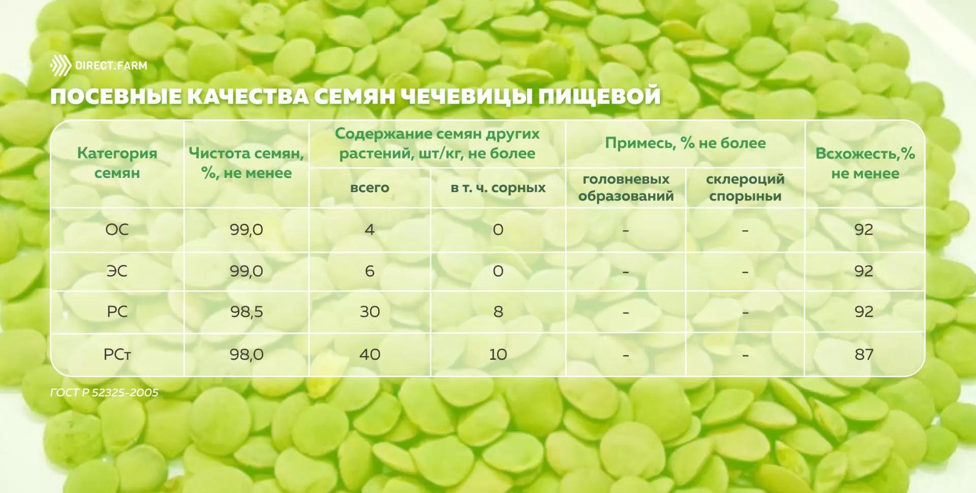 Посевные качества семян чечевицы пищевой