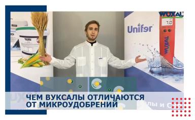 Вуксал – суспензии для внекорневых подкормок