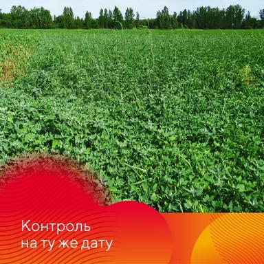 Работает Фултайм®!