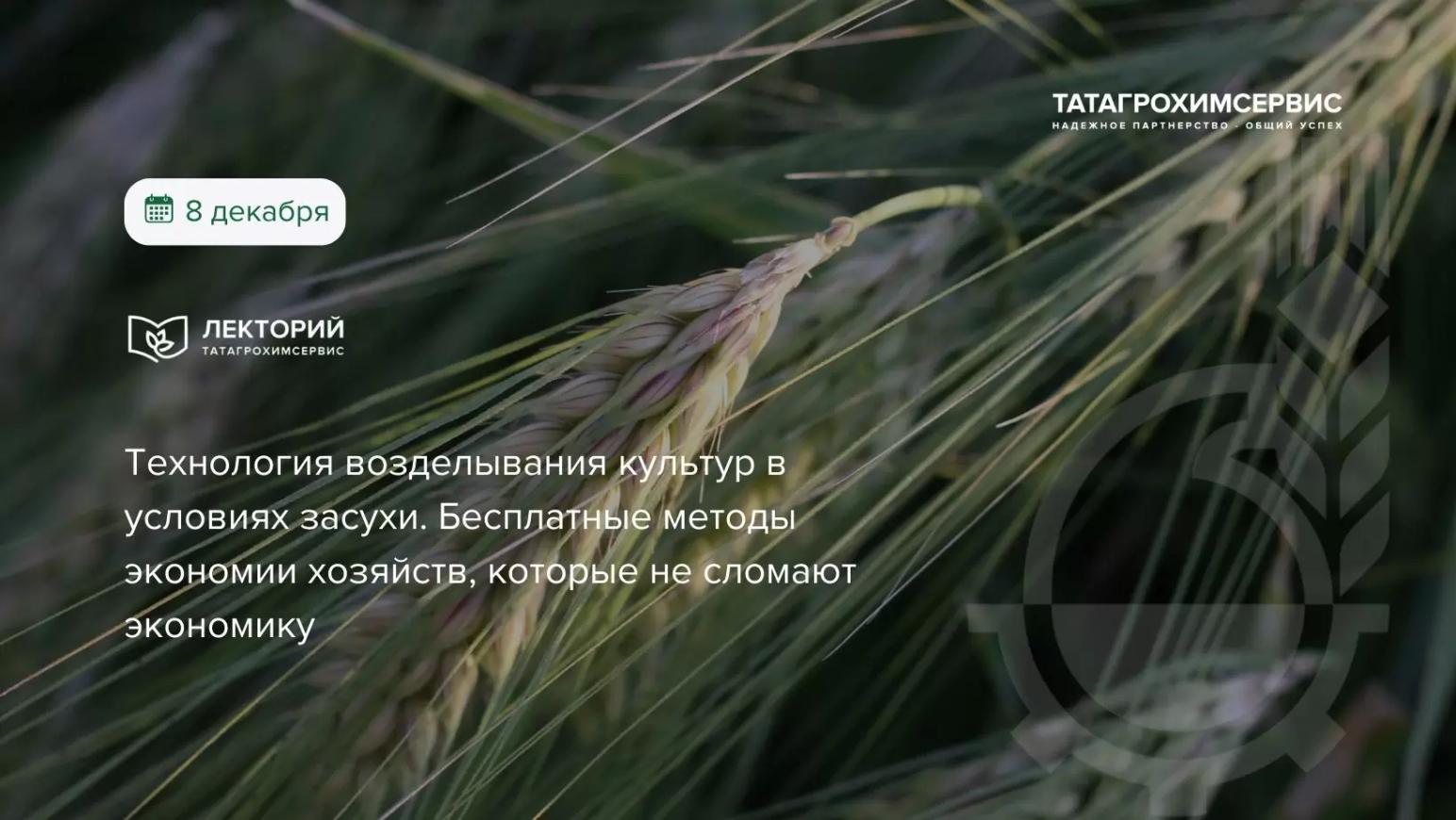 📢 Зимний Лекторий 8 декабря.