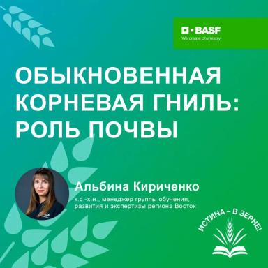 Обыкновенная корневая гниль: роль почвы