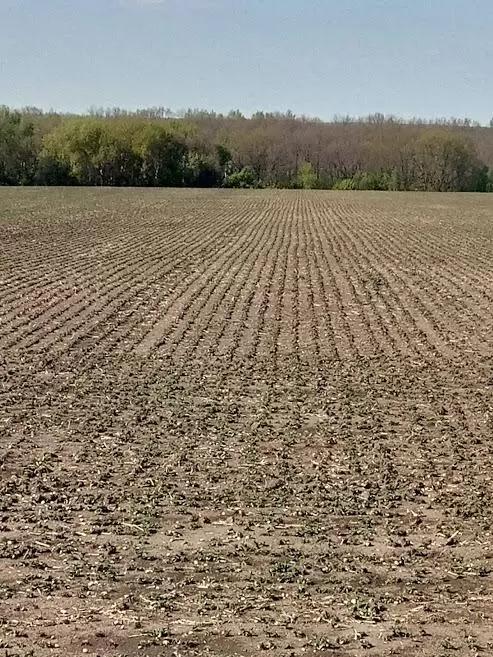 автопилот- платный или бесплатный сигнал