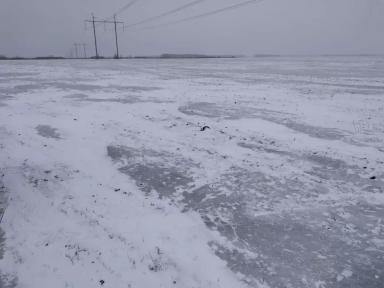 Еду завтра озимую мать спасать