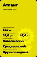 Атлант подсолнечник