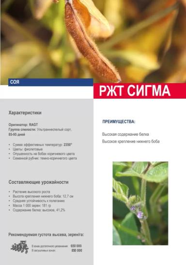 РЖТ Сигма