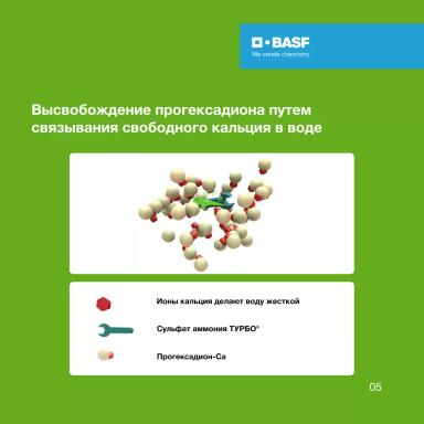 Правильное понимание АРХИТЕКТ®  – залог успеха