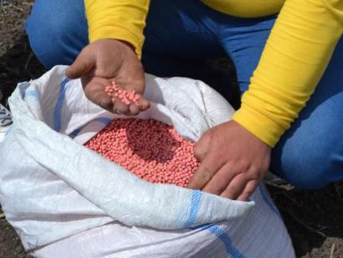 На Агрополигоне «Приволжье» посеяли сою