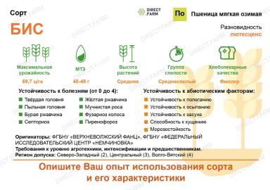 Бис сорт мягкой озимой пшеницы