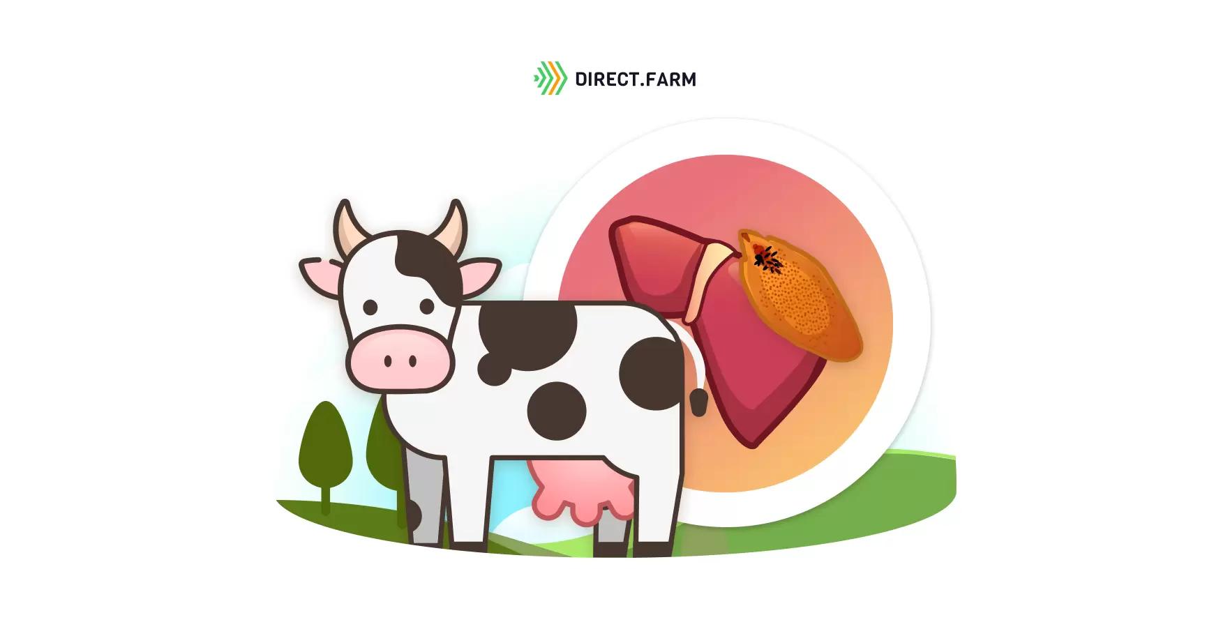 Профилактика фасциолеза КРС