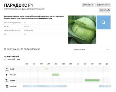 Парадокс F1 (PARADOX)