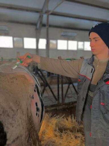 Что такое смещение сычуга у крупного рогатого скота? 🤨🤔