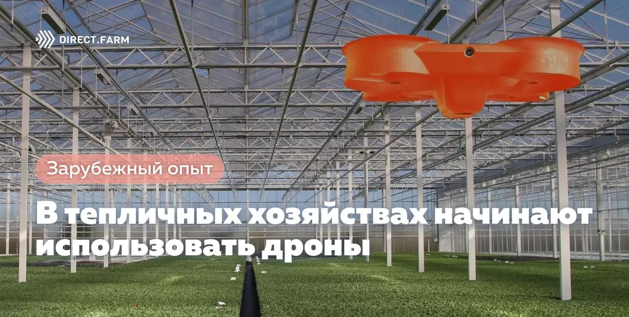 В тепличных хозяйствах начинают использовать дроны