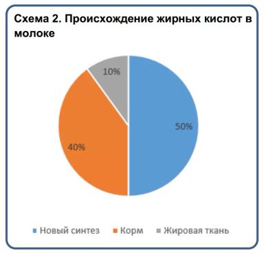 Что говорят о корове жирные кислоты в ее молоке?