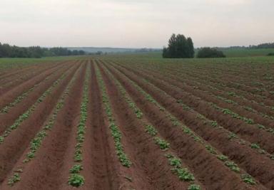 Здесь все, что нужно знать об RTK