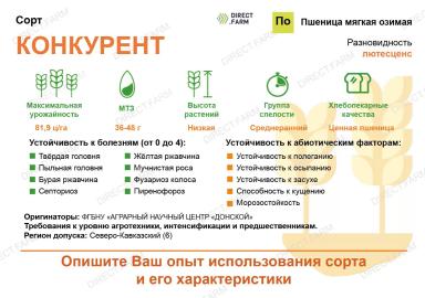 Конкурент сорт мягкой озимой пшеницы