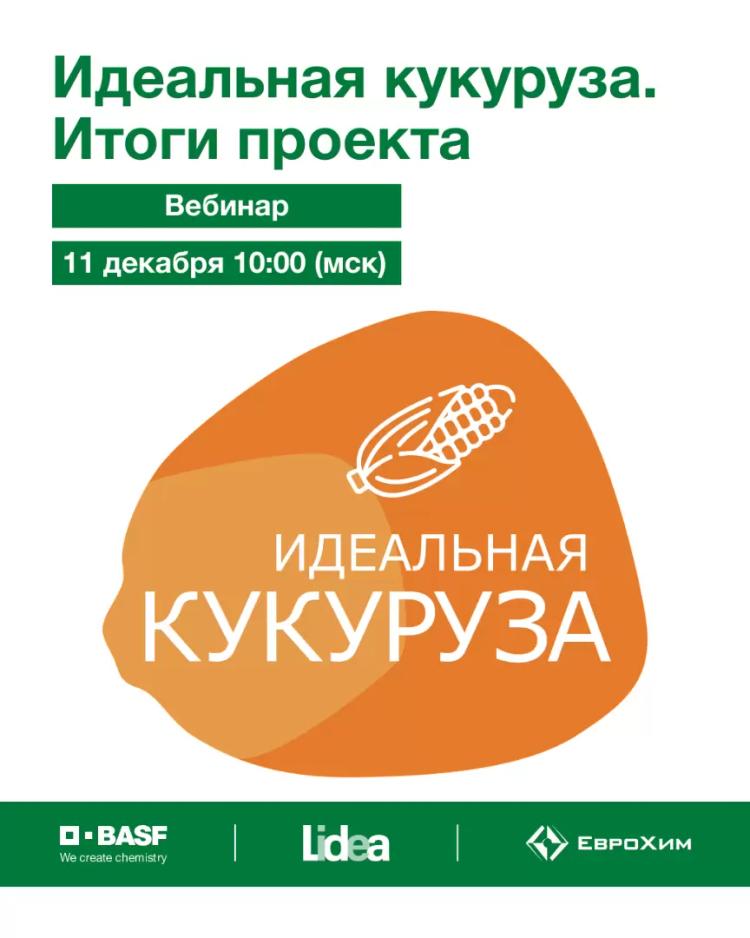 «Идеальная кукуруза. Итоги проекта» уже через час!