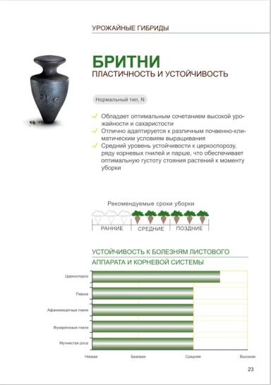 Бритни (BRITNEY)