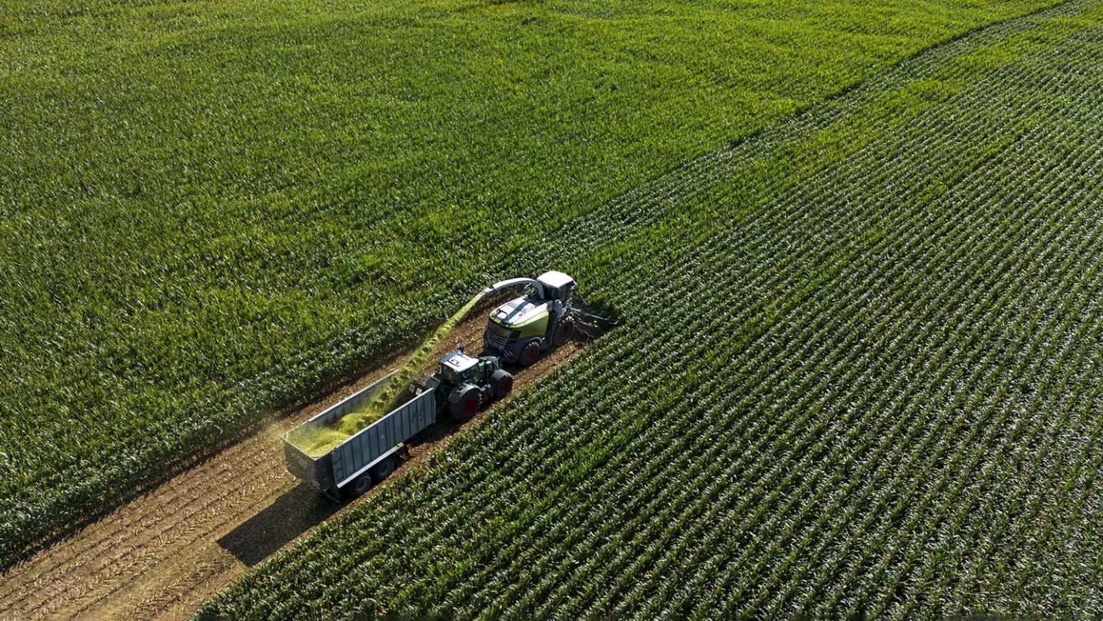 Forbes опубликовал рейтинг богатейших компаний РФ, включая АПК