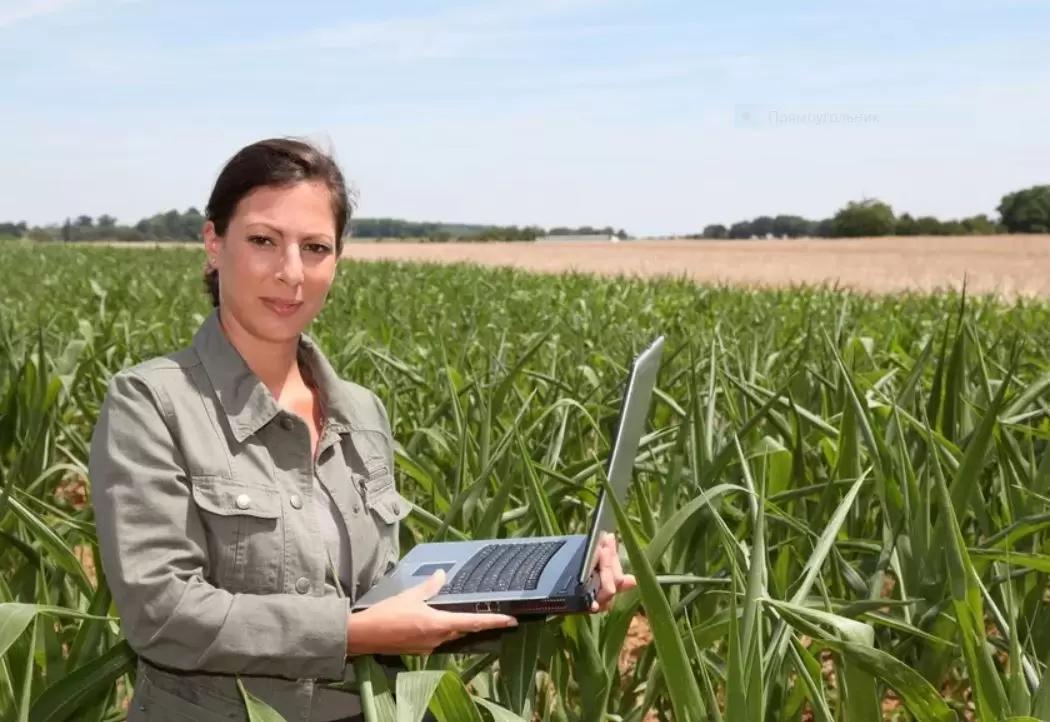 Он-лайн курсы для аграриев. Есть ли толк?