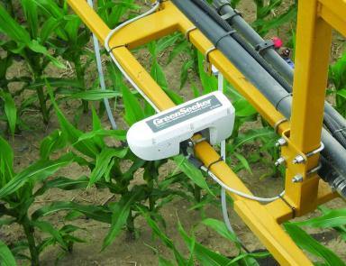 Использование датчика NDVI для оценки содержания азота в покровных культурах