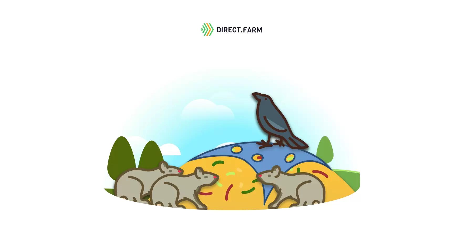 Вредители укрывной пленки: защита от грызунов и птиц