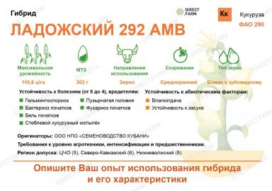Ладожский 292 АМВ гибрид кукурузы