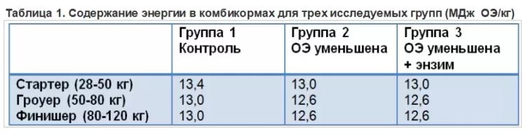 Высокие привесы свиней возможны при использовании рационов с низкой энергией