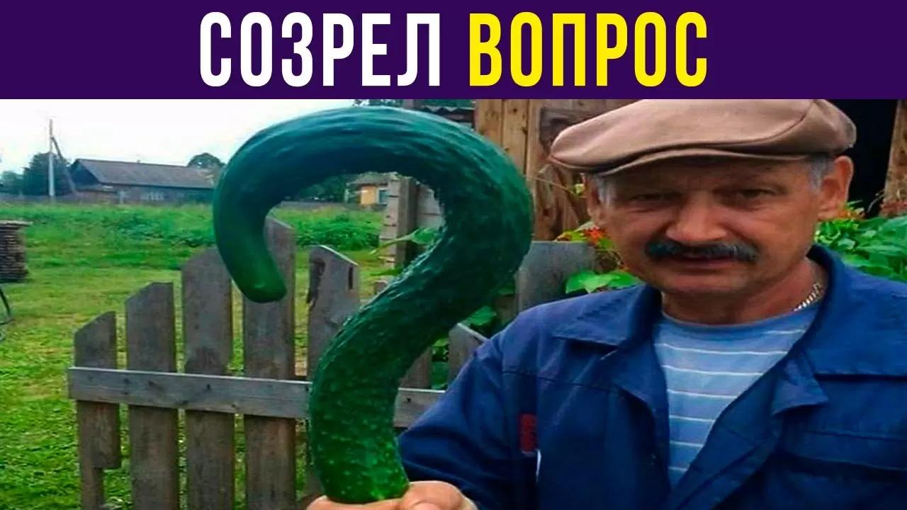 На что потратить деньги?