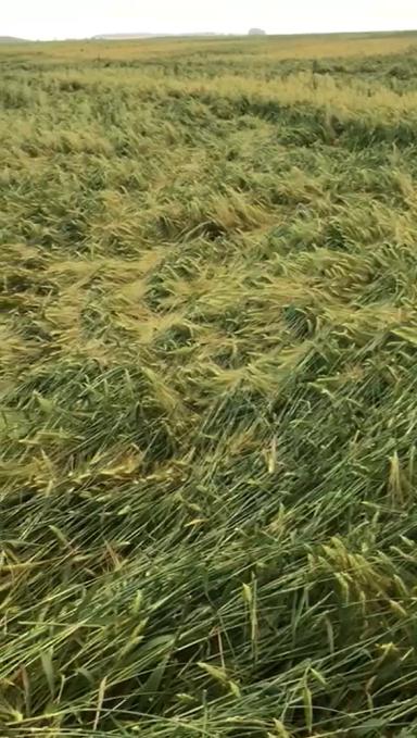 Вопросы из чатов: будут ли потери?