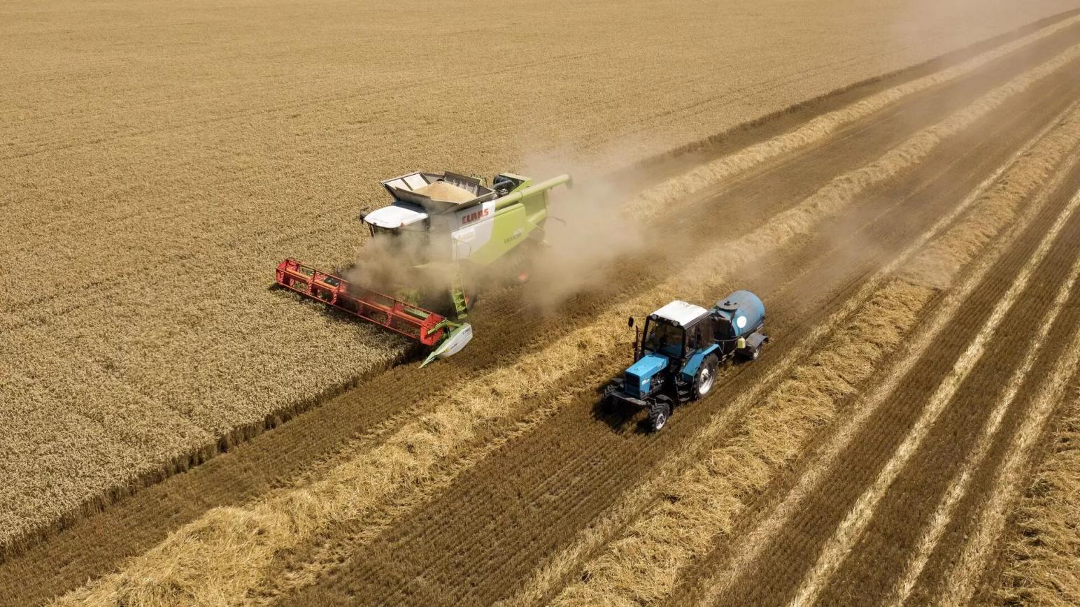 Польша попросила ЕС помочь освободить хранилища от украинского зерна