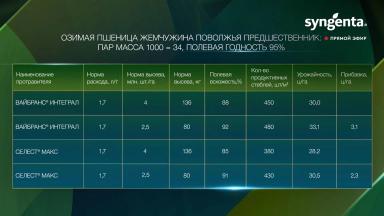 Норма высева озимой пшеницы (эксперимент)