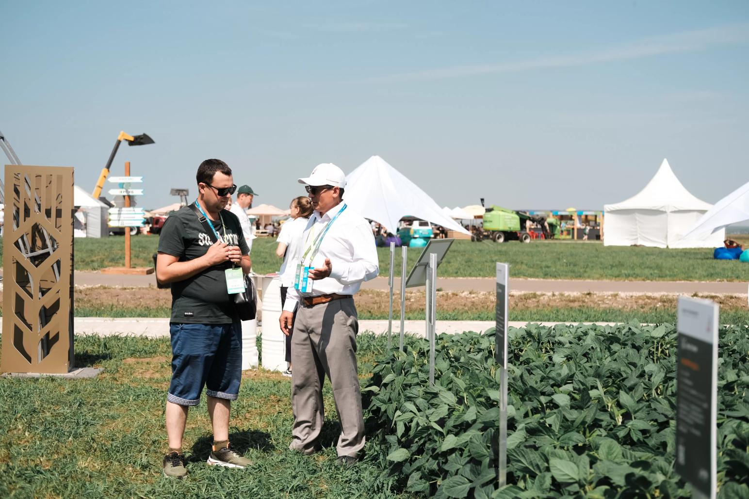 Как растет соя в Татарстане? Покажем и расскажем на "Агроволге"    • 65