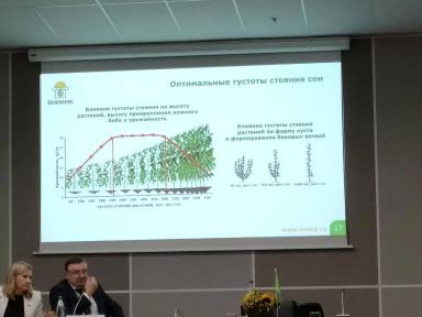 Эффективные агроприемы для получения высоких урожаев масличных культур