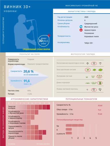Винник - гибрид свеклы сахарной Штрубе Рус