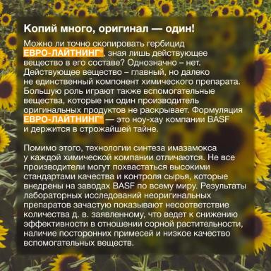 Секрет успеха