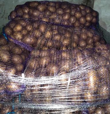 Картофель свежий РБ от производителя