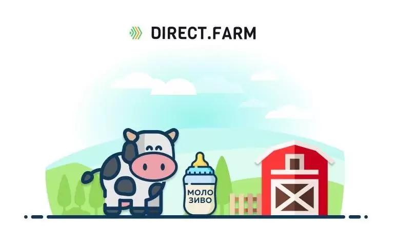 Правила выпойки телят молозивом