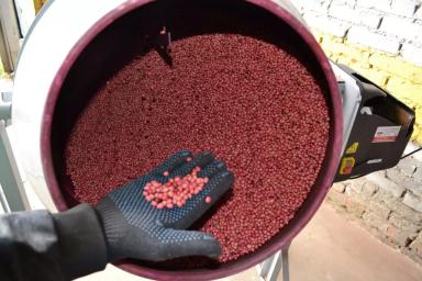 Предпосевная обработка семян сои на Агрополигоне «Приволжье».