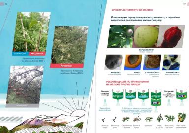 Антракол в защите яблони от парши