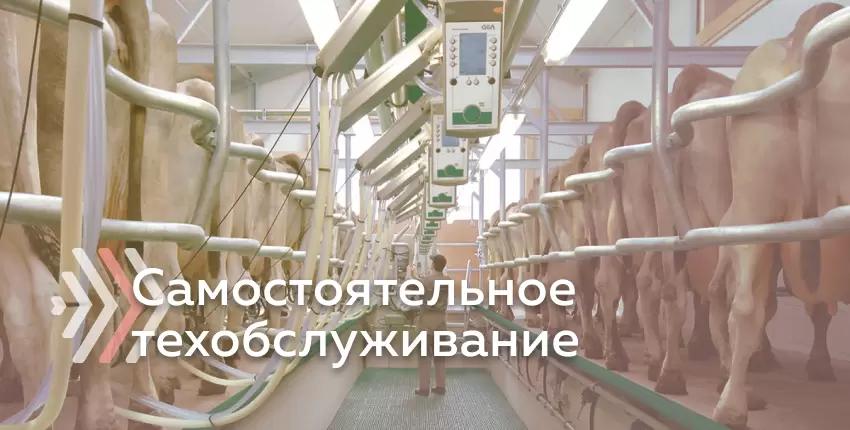 Проводить техобслуживание доильного оборудования самостоятельно?