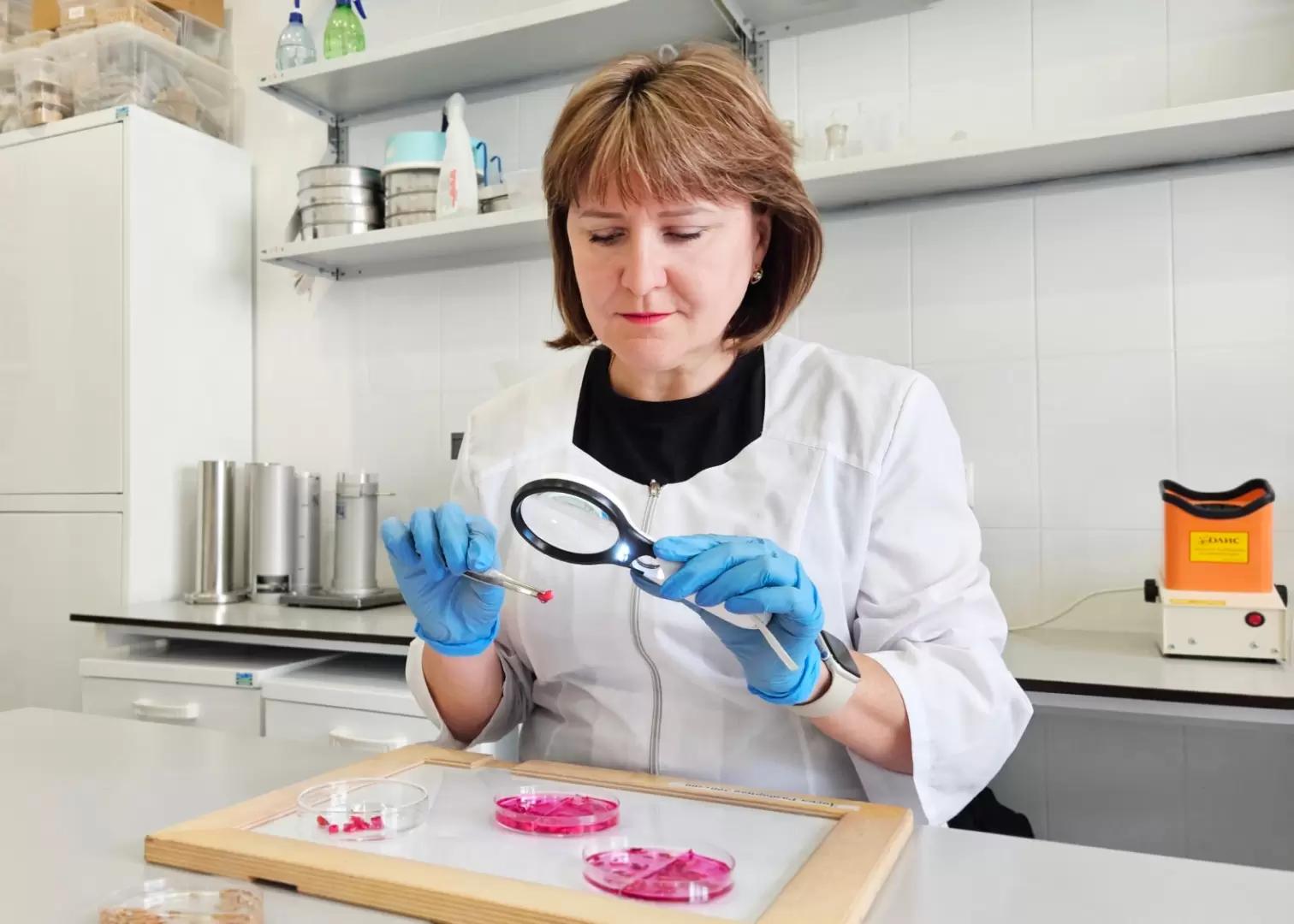 Оценка жизнеспособности семян