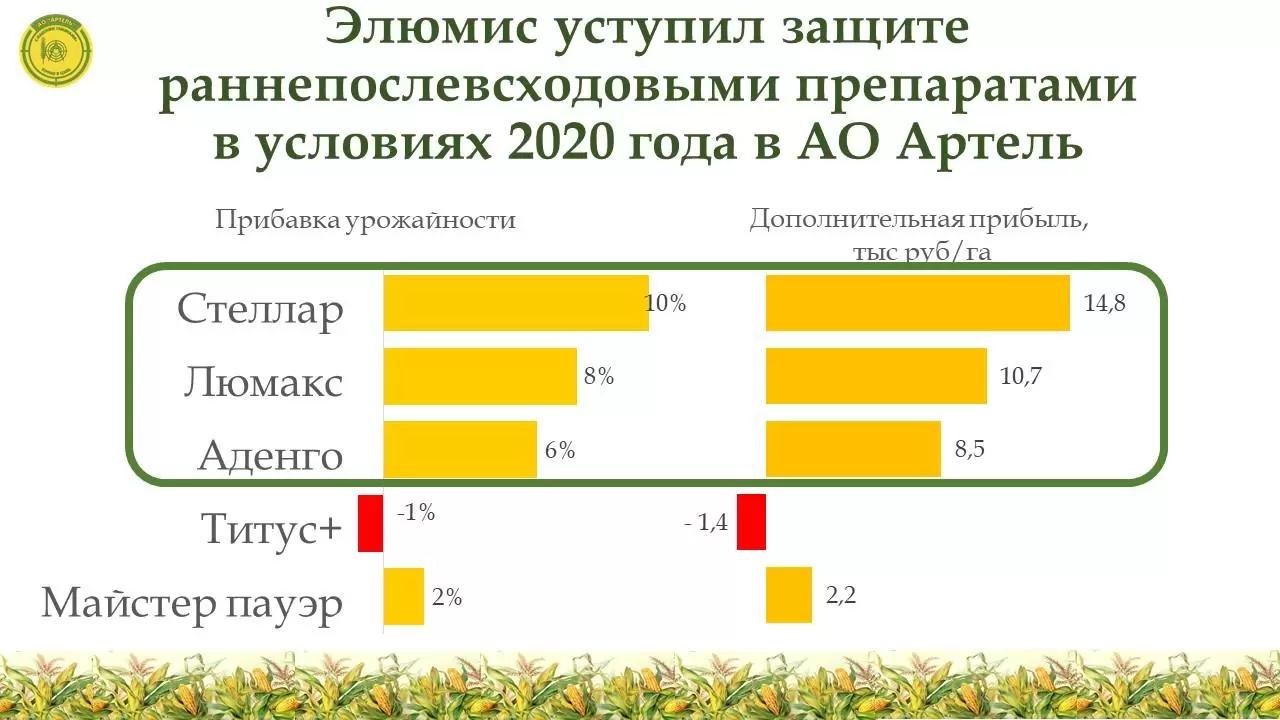 Сравнение эффективности различных гербицидов на кукурузе на зерно