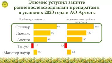 Сравнение эффективности различных гербицидов на кукурузе на зерно