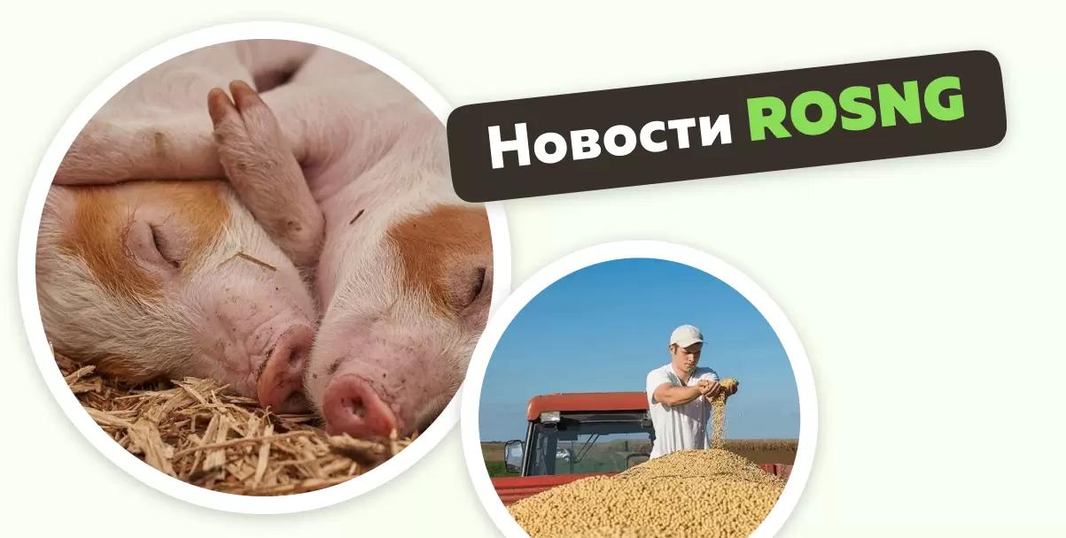 Обзор новостей за 5 марта