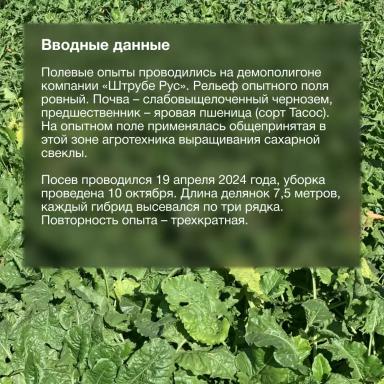 Доказано в поле
